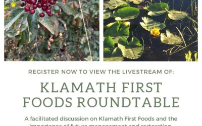 Klamath First Foods Roundtable
