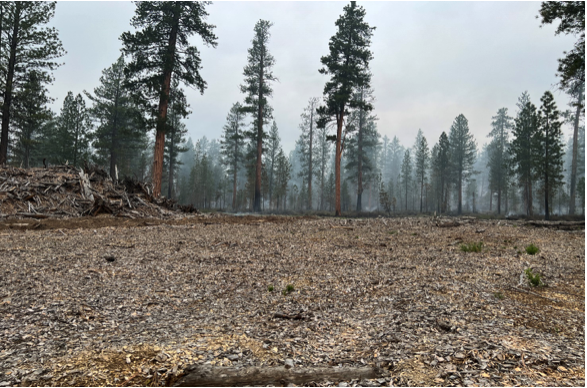 On Saturday crews completed firing operations to secure firelines on the Dillon Creek Fire, which is quickly burning itself out after being discovered May 20. (Photo by Tim Sexton/Klamath Tribes. Image available for media use.)